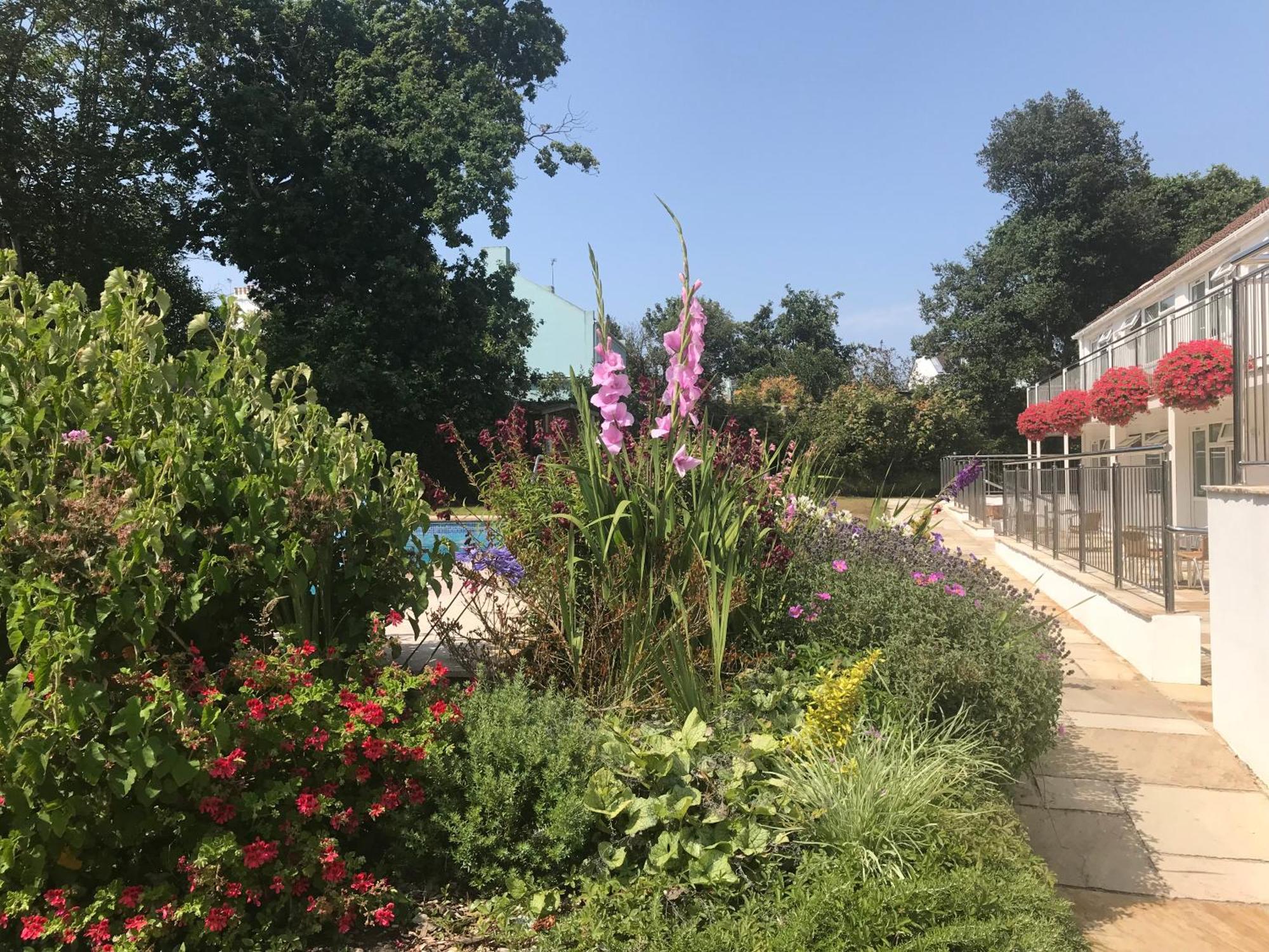 Ilex Lodge Saint Peter Port 외부 사진